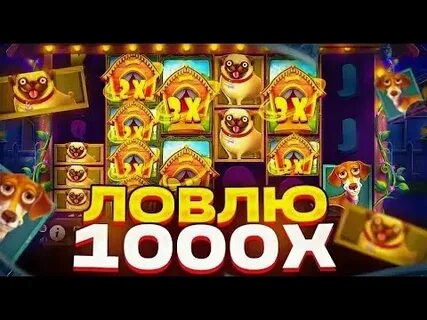 Dog house multifold demo