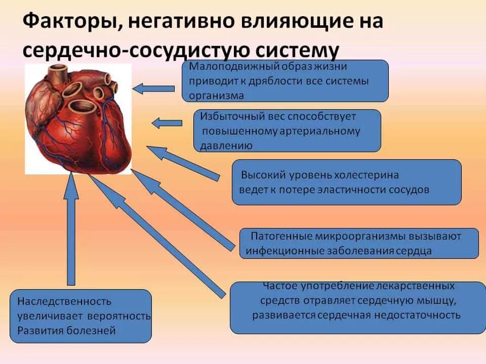 Факторы негативно влияющие на сердечно-сосудистую систему. Факторы негативно влияющие на ССС. Памятка гигиена сердечно сосудистой системы. Факторы негативно влияющие на сосудистую систему.