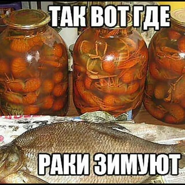 Раки в банке рецепт. Ракикраб. Рачки маринованные. Раки в банке рецепт. Рачки маринованные.