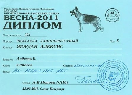 Собака 2 место