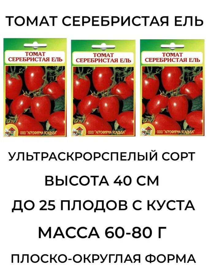Томат серебряная ель. Томат кибиц. Томаты серебристая ель описание сорта фото. Томат сорт "серебристая ель". Томат серебристая ель фото.