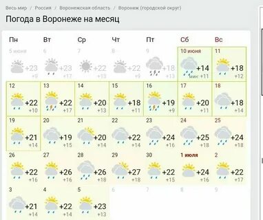 Погода в ноябре в воронеже 2024г