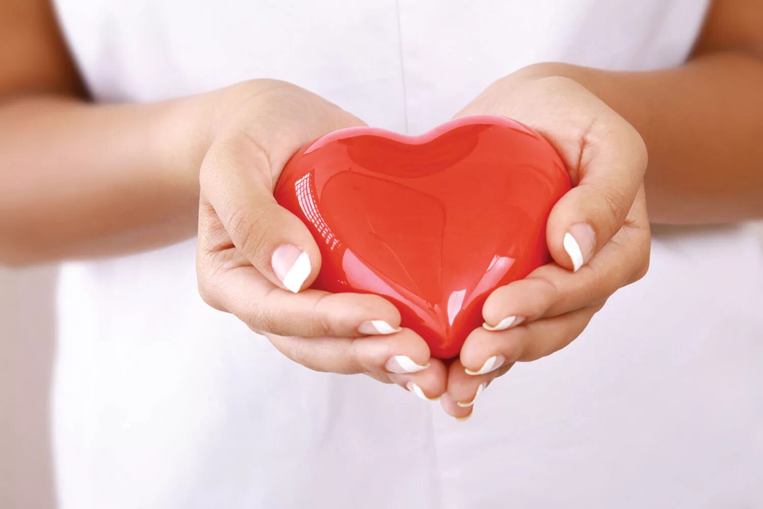 Донорство помогает. Сердце в руках. Сердечко руками. Сердце в ладонях. Красивое сердце в руках.