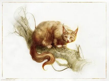 Awakened cat