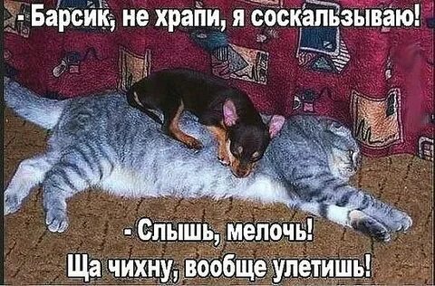 i?id=7ac83d086c497d5e7db0b89a6d6e079dc6b