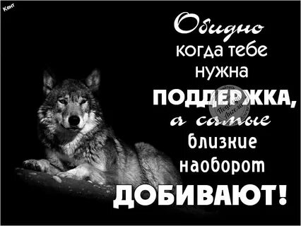 Картинка предан тебе