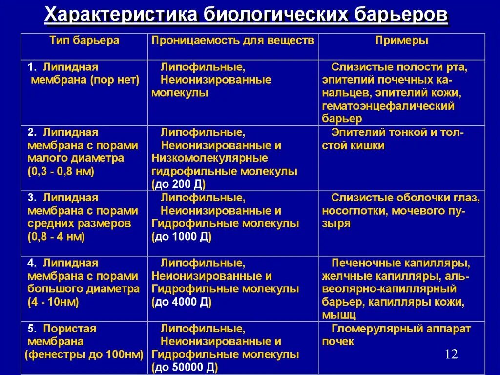 Основные биологические барьеры. Внутренние барьеры организма. Биологические барьеры организма в фармакологии. Биологические барьеры организма их строение. Биологические барьеры организма.