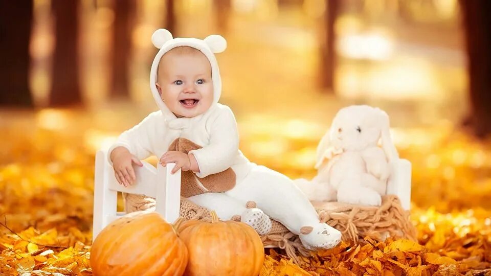 happy child with pumpkins on sunset Stock Photo Adobe Stock