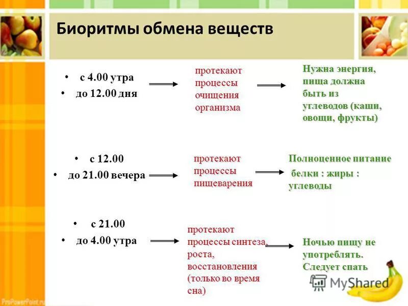 Правильное питание по часам. Углеводный прием пищи. Питание по биоритмам человека. Приемы пищи в день. В какое время есть жиры