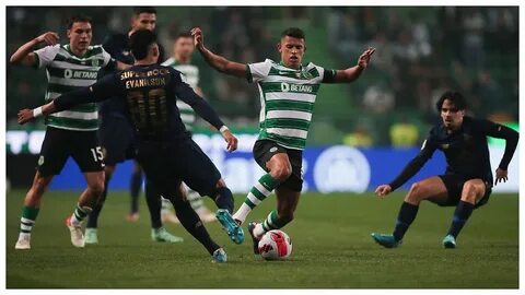 Sporting city