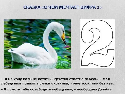 О чем мечтают цифры