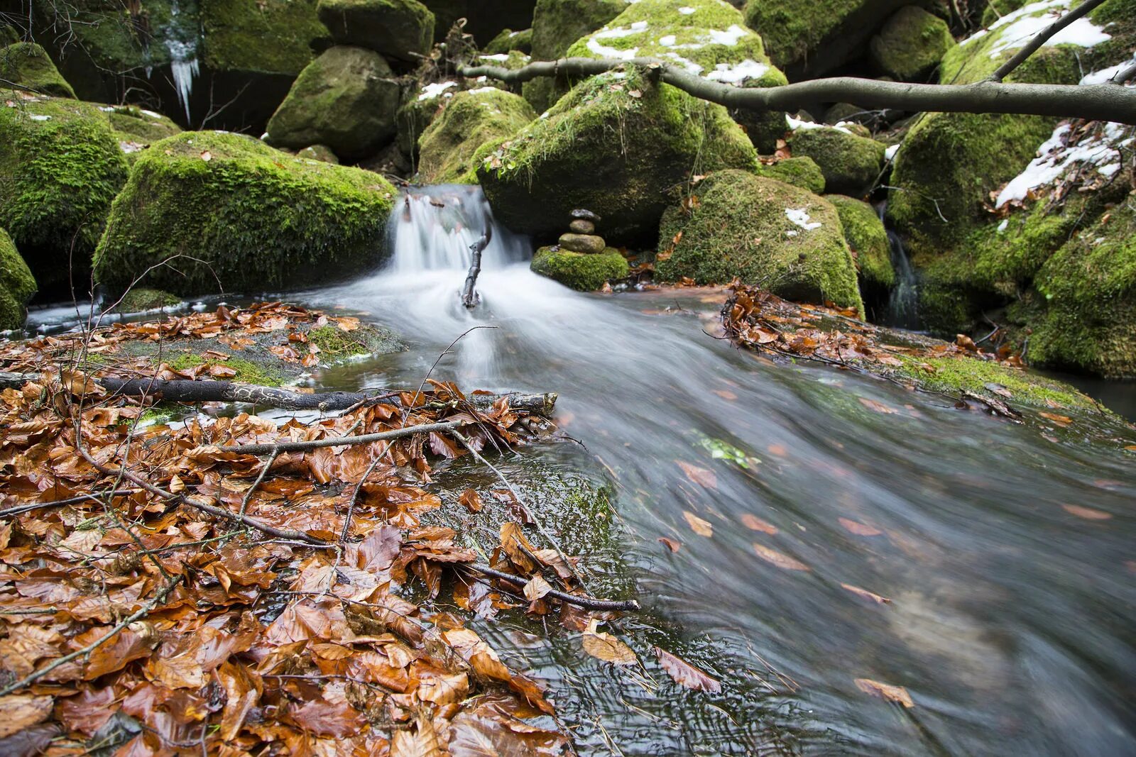 Ручей (водный поток). Каменная береза дальнего востока. Каскадный водопад водопадный. Куда падает ручей. Упав в ручей.