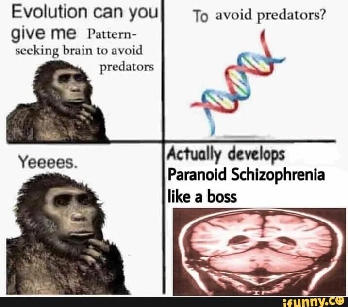 Could you give me