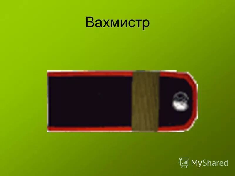 Вахмистр это какое звание сейчас. Младший вахмистр погоны. старший вахмистр. младший вахмистр у казаков.
