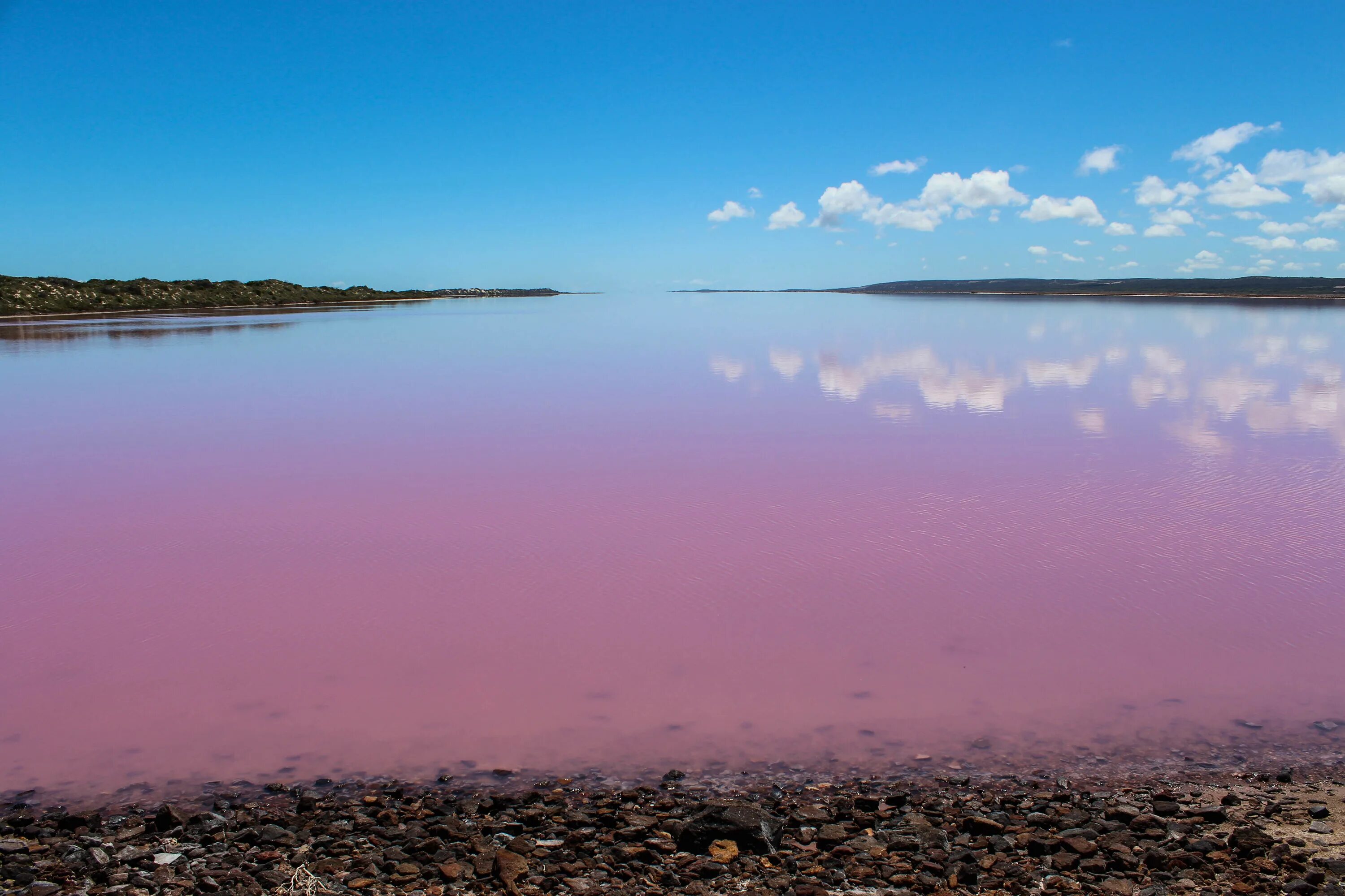 Озеро хиллер австралия. Озеро Хиллиер, Австралия. Розовое озеро Хиллер. Озеро Хильер в Австралии. Розовое озеро Хиллер Австралия.