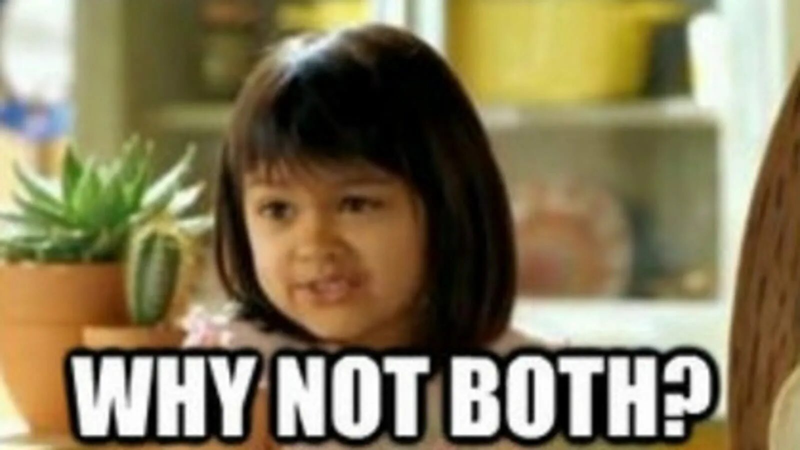 Why not i gone. Why not both. мем why not both. both мем. why no.