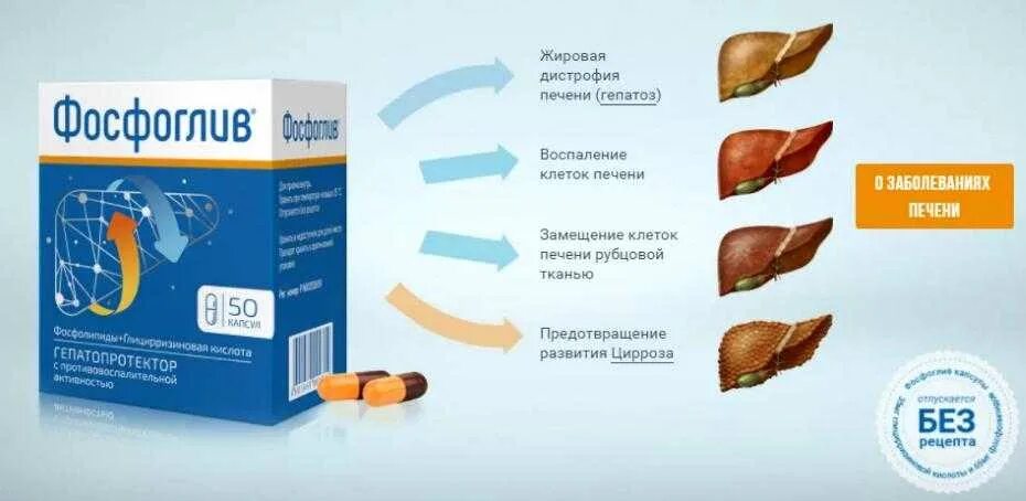 Как долго лечится гепатоз печени. Печень лекарство для печени фосфоглив. препарат для восстановления печени фосфоглив. жировой гепатоз печени лекарства. лекарственные препараты для терапии жирового гепатоза.