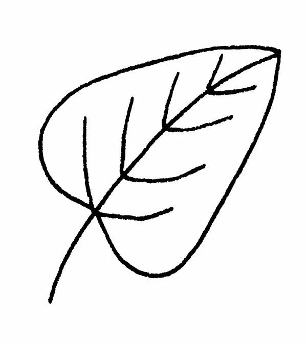 Нарисовать рисунок листочек