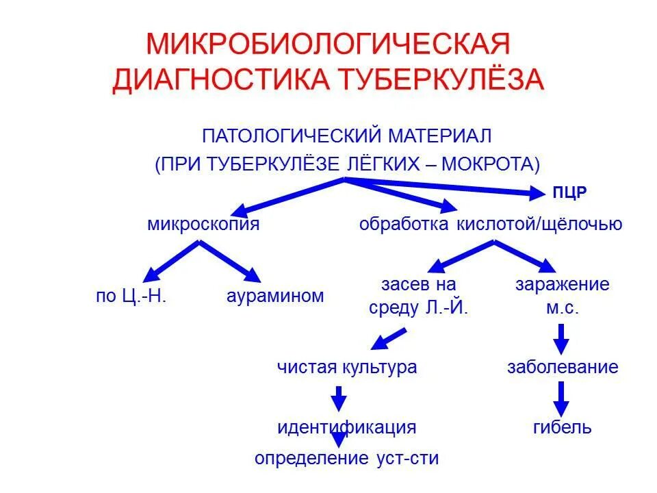 Методы лабораторной диагностики микробиология. Микробиологическая диагностика микозов схема. актиномикоз методы диагностики. лабораторная диагностика актиномикоза микробиология. методы микробиологической диагностики актиномикоза.