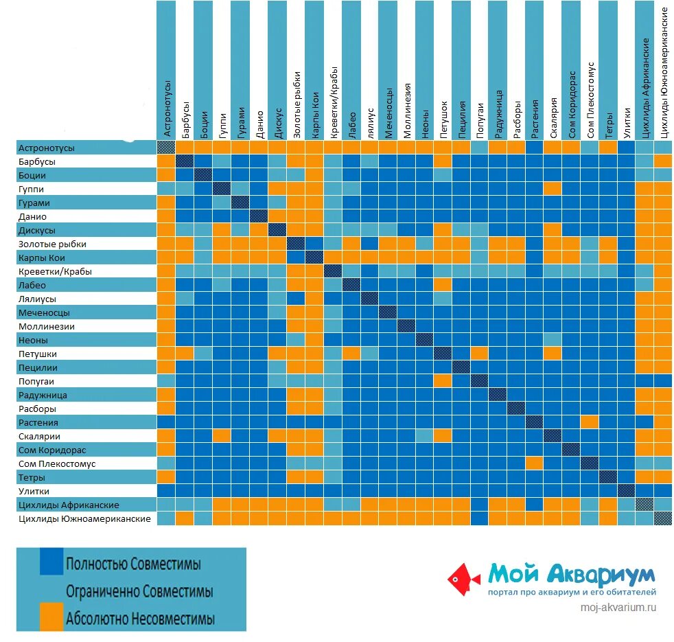 Тернеции аквариумные совместимость с рыбками. Таблица совместимости аквариумных рыбок Тернеция. Рыбки Тернеция совместимость с другими рыбками таблица. Таблица совместимости скалярий с другими рыбами. Петухи рыбы совместимость