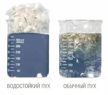 Гусиный пух в пуховике до скольки градусов