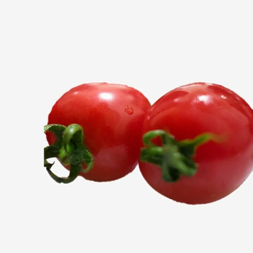 Два помидора. Помидоры 2 шт. Сдвоенный помидор. PSD Tomatoes PNG. Two tomatoes