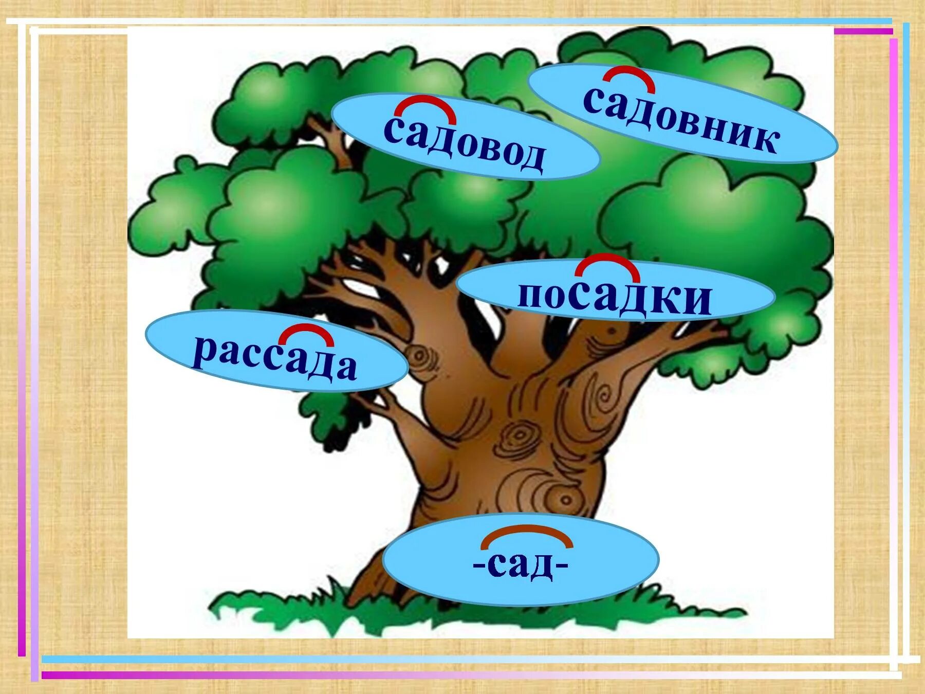 Картинки дерево слов. Дерево с однокоренными словами. Дерево с однокоренными словами рисунок. Проект однокоренные слова 2 класс. Древо однокоренных слов.