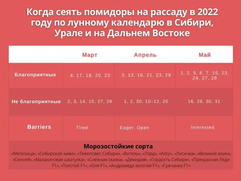 Когда сеять помидоры в апреле 2024 года