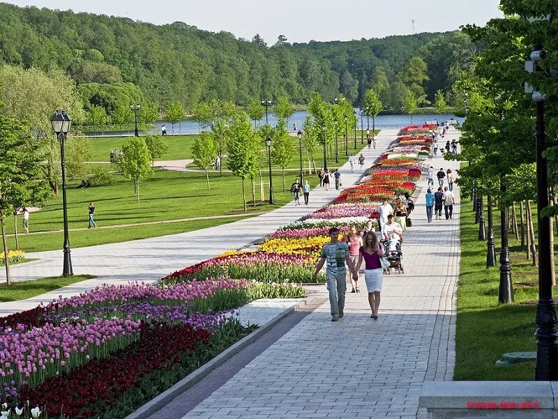 Где можно погулять весной. Царицыно музей-заповедник. Царицыно парк сад Москва. Парк Царицыно аллеи. Орехово парк Царицыно.