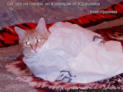 Ничто не предвещало дождя