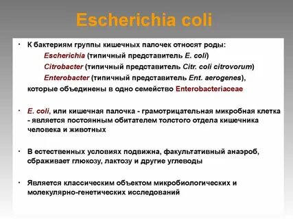 К микроорганизмам относят группу