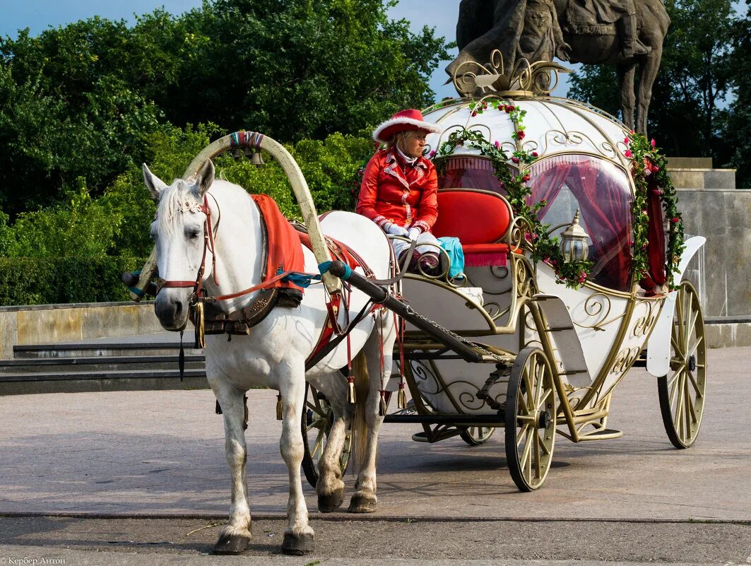 аренда кареты. аренда кареты. карета дилижанс петергоф. аренда кареты. карета.