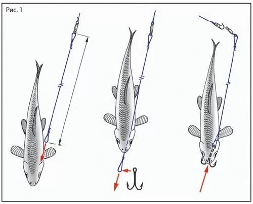что лучше на жерлицы двойник или тройник