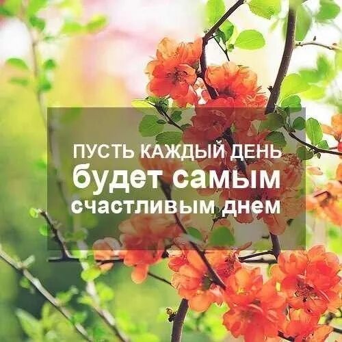 Пусть твоя жизнь будет наполнена счастьем