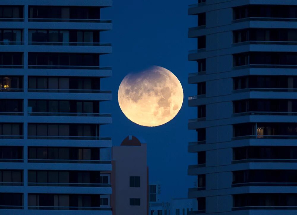 Город муна. Луна в Москве. Вид Луны из Москвы. Большая Луна в Москве. Полнолуние в городе.