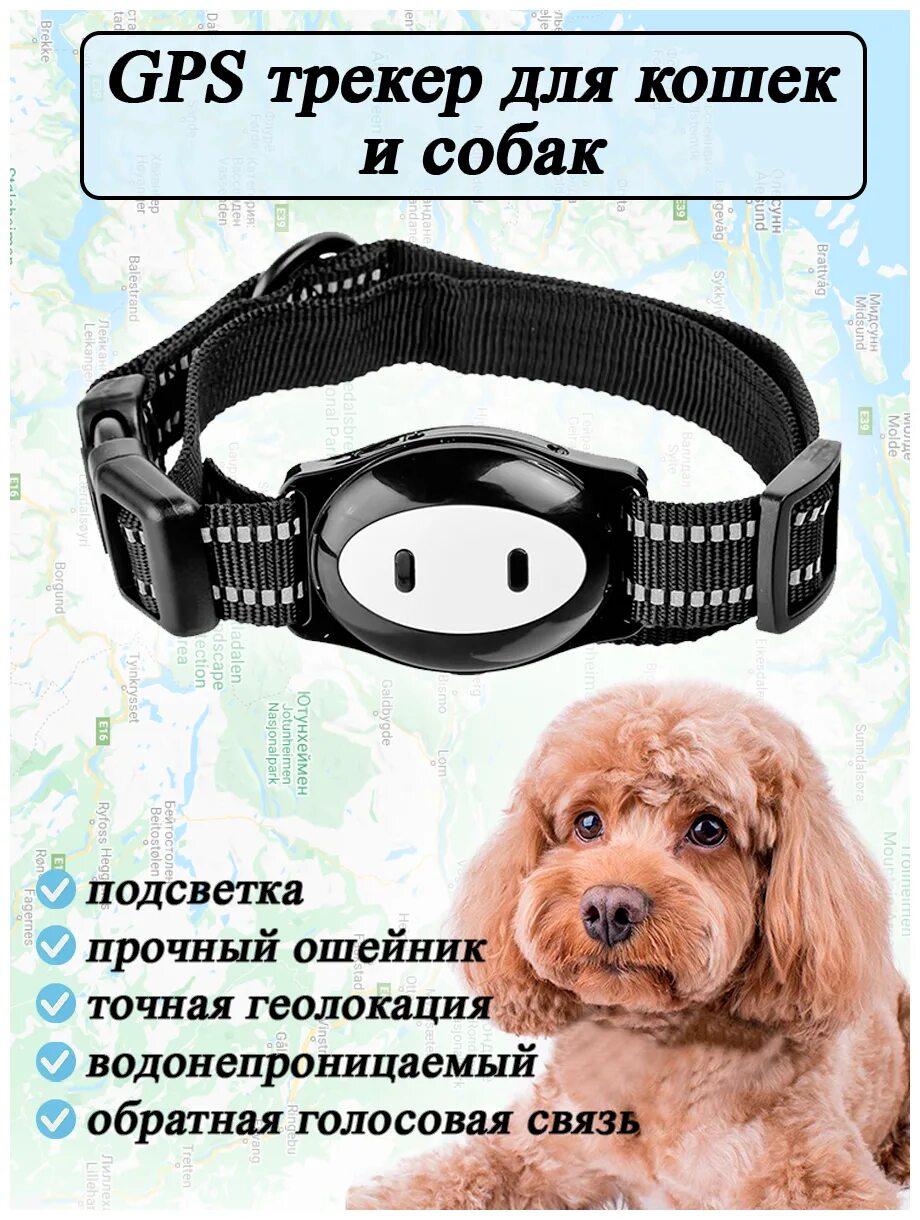 ошейник для домашних животных, водонепроницаемый ip67 gps-трекер. джипиэс трекер для собак для охоты. ошейник трекер для собак tbpt. Gps ошейники navixy x - pet 5. Gps ошейник d79.