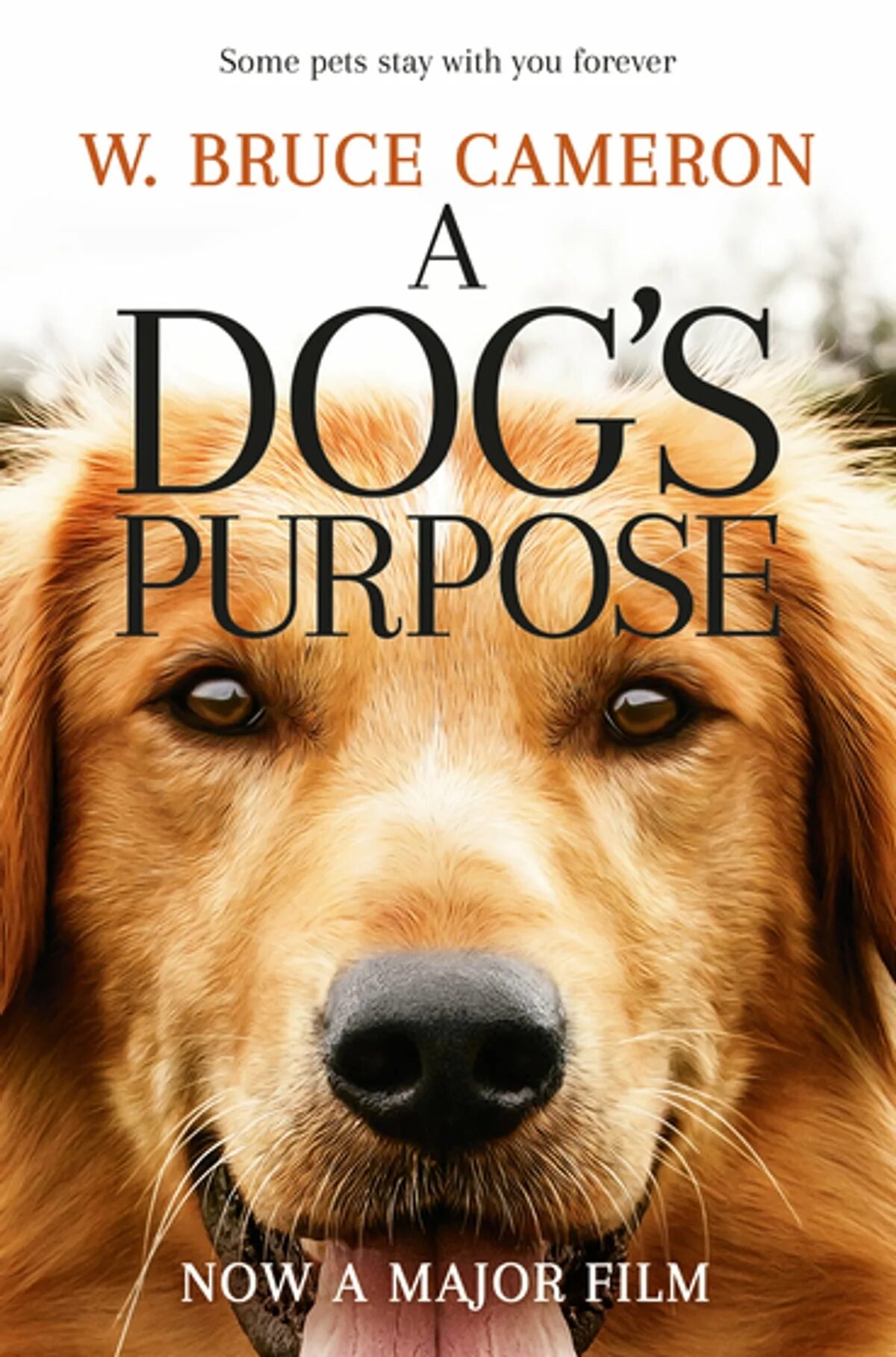 Жизнь собаки книга. Жизнь собак. Собачья жизнь афиша.