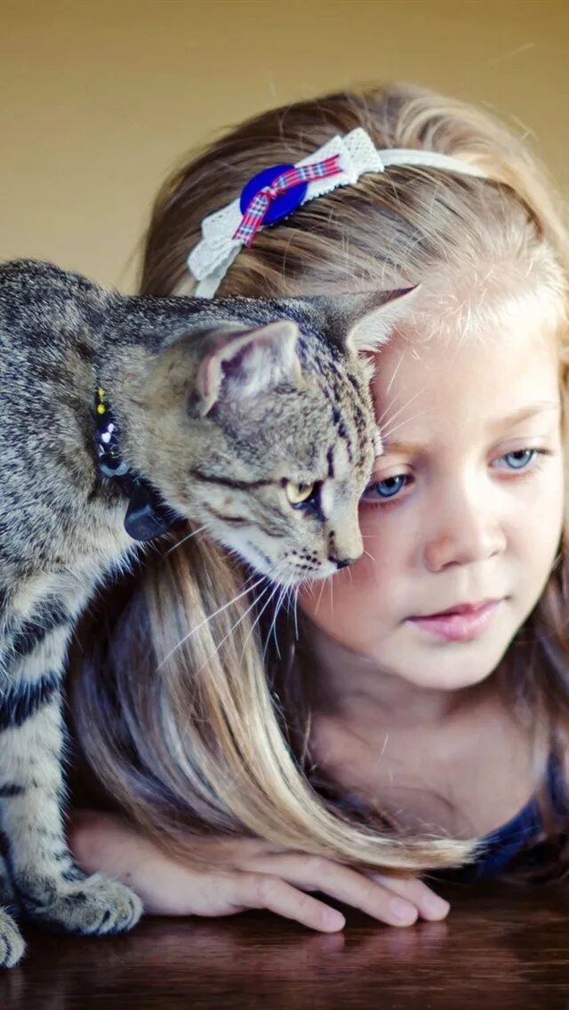 Wild kitty net