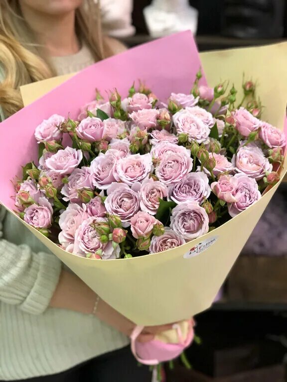 майкоп заказ. сырный сет суш. цветущий майкоп. майкоп заказ. майкоп заказ.