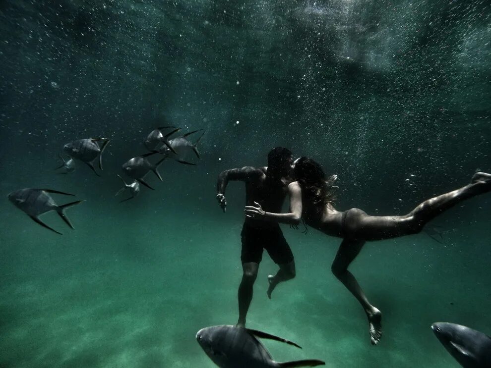 красивые удачные кадры. невероятные снимки. клаудио пикколи фото. прыжок в море. редкие моменты.