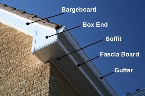 Fascia gun 2c