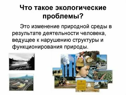 Определение проблемы в биологии