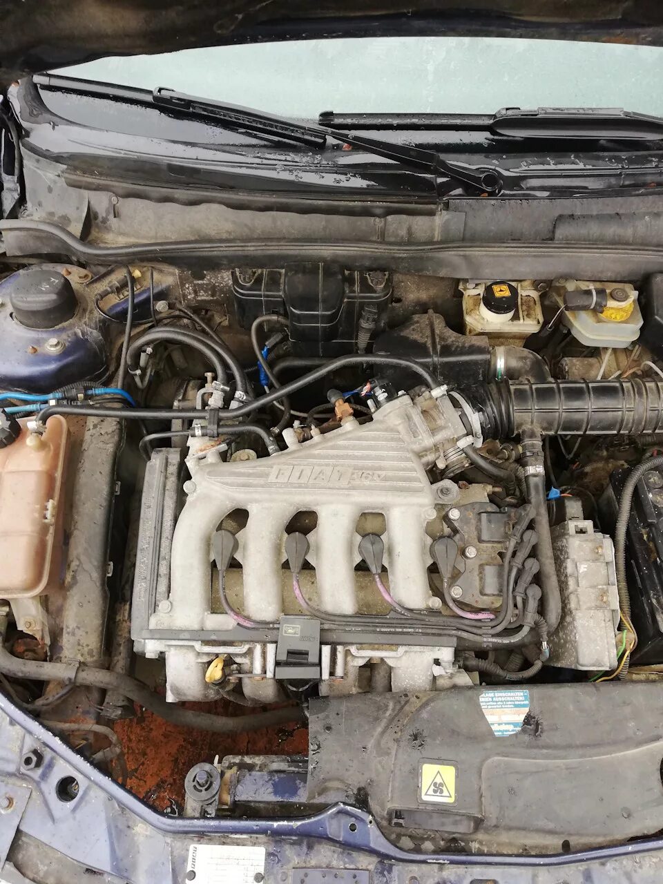 Фиат стило 1. 1. 4 дизель. 8 двс. 9 дизель.