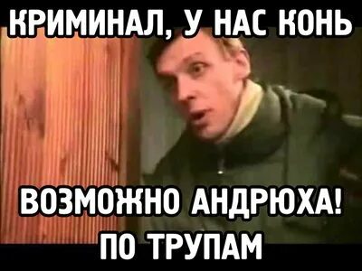 Опять немцы полезли по коням фамилия