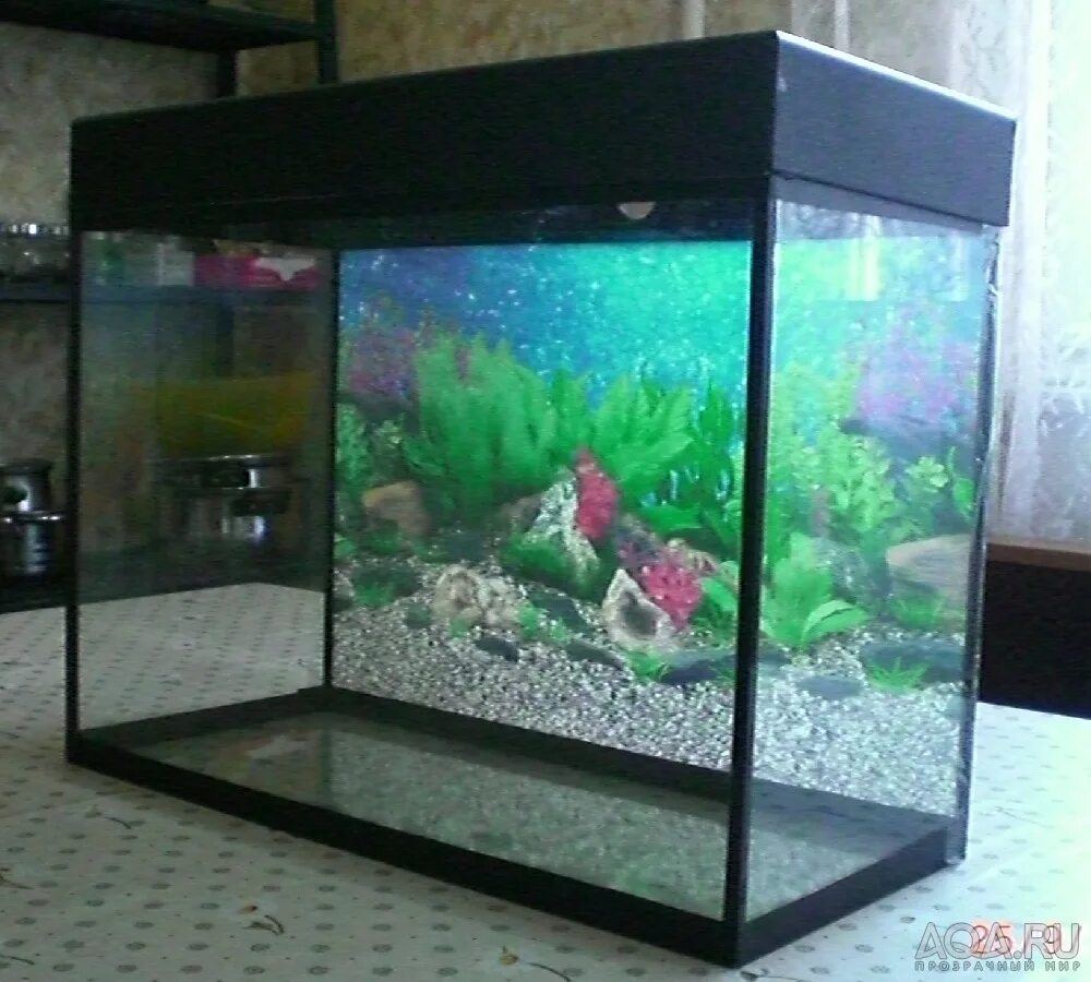 Аквариум 70 литров. Оформление аквариума 70 литров. Аквариум с черным фоном. Аквариум 70 литров с большими рыбами. Декор аквариума 70 литров.