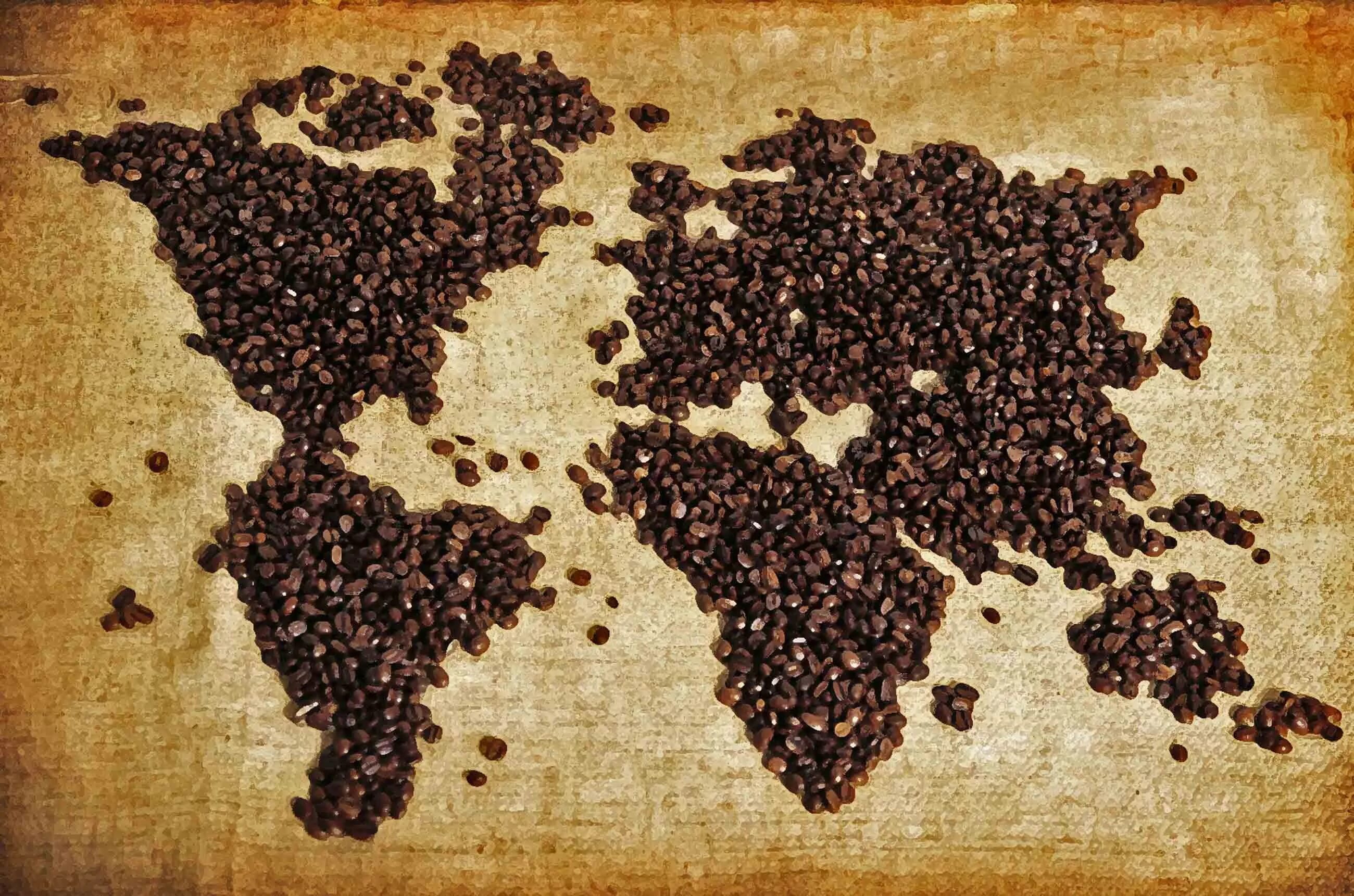 Кофе в древности. Эфиопский кофе. Появление кофе. Coffees world