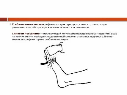 Рефлексы практическая