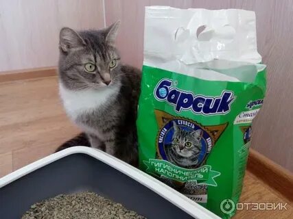 Барсики псков