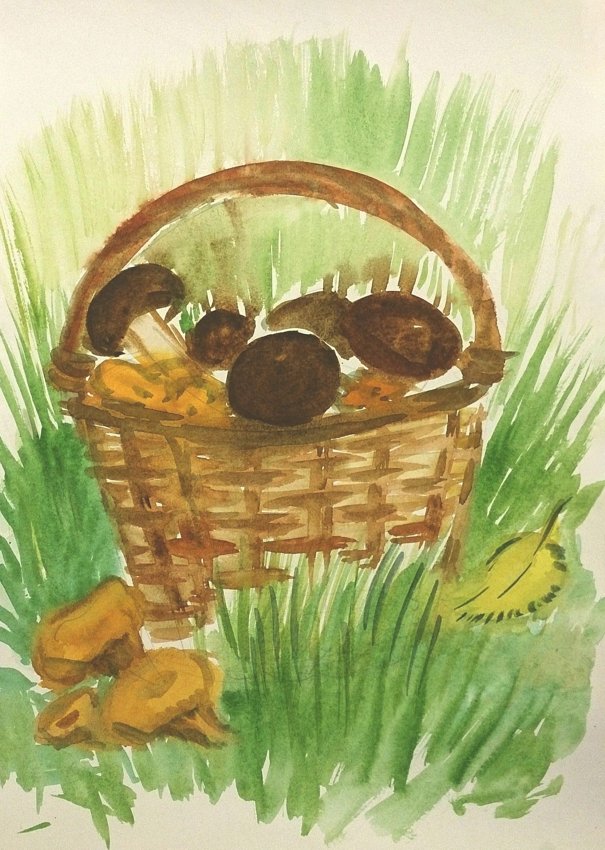 Корзина с грибами на белом фоне. Корзина с грибами рисунок. Корзинка с грибами раскраска для детей. Рисование корзинка с грибами. Рисование корзина с грибами.