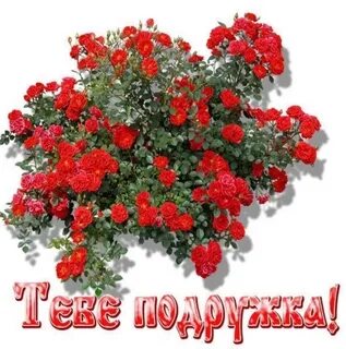 С днем подруги цветы